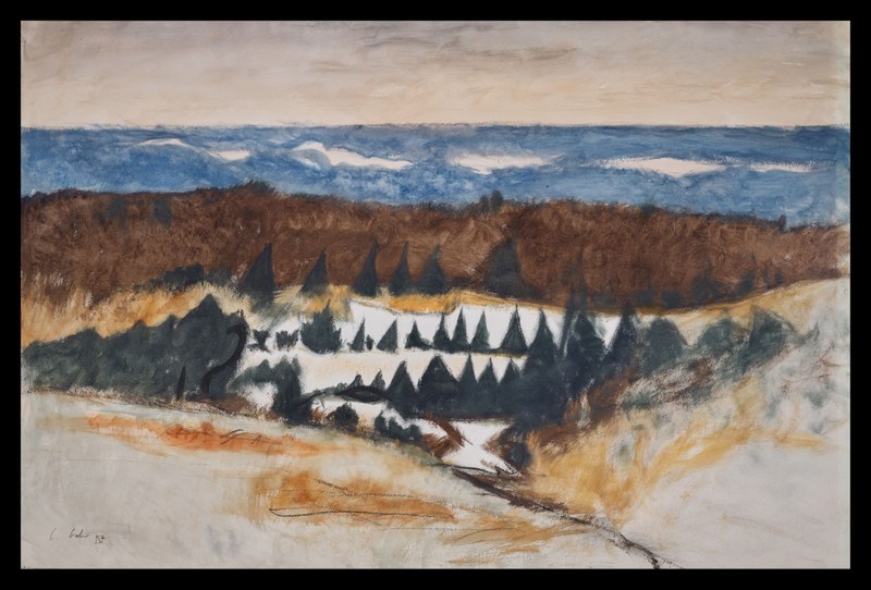 LakeMichWithPines (border).jpg