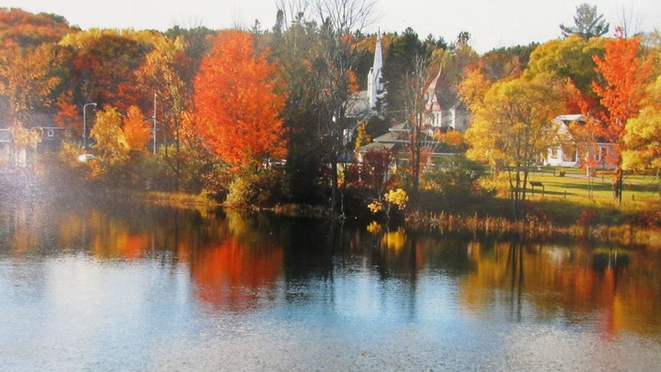 Bellaire Public Library in the fall!