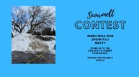 contest