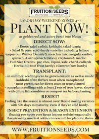 labor-day-plant-now.jpg