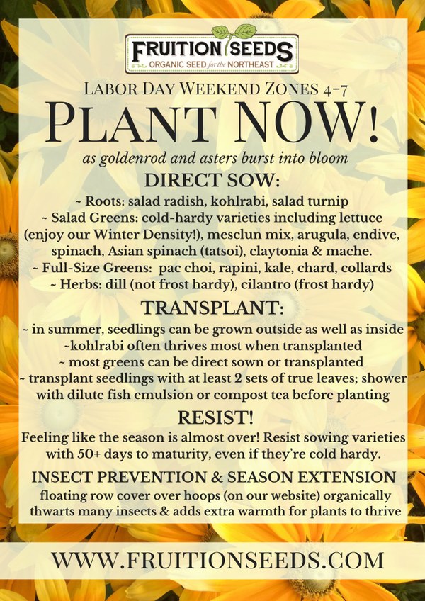 labor-day-plant-now.jpg What to plant now