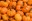 mini pumpkins.jpg