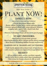 Plant Late May.jpeg