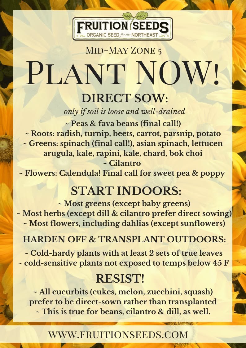 Plant Late May.jpeg