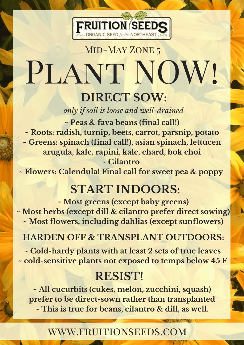 Plant Late May.jpeg