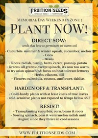 Plant Memorial Weekend.jpeg