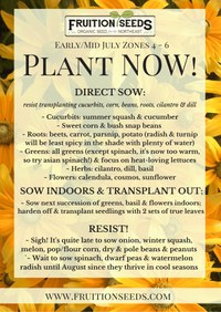 Plant now July 2026.jpg