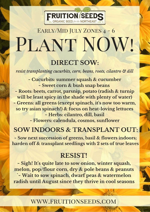 Plant now July 2026.jpg Plant Now July 2026