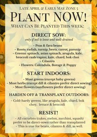 Plant Now May.jpeg
