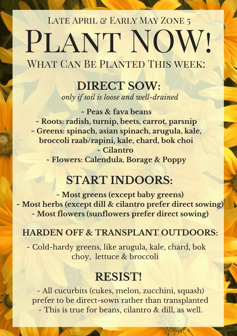 Plant Now May.jpeg