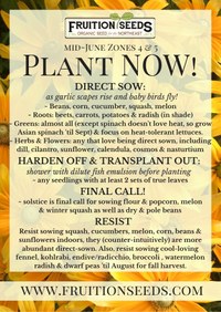 plant-now-mid-june-2021.jpg