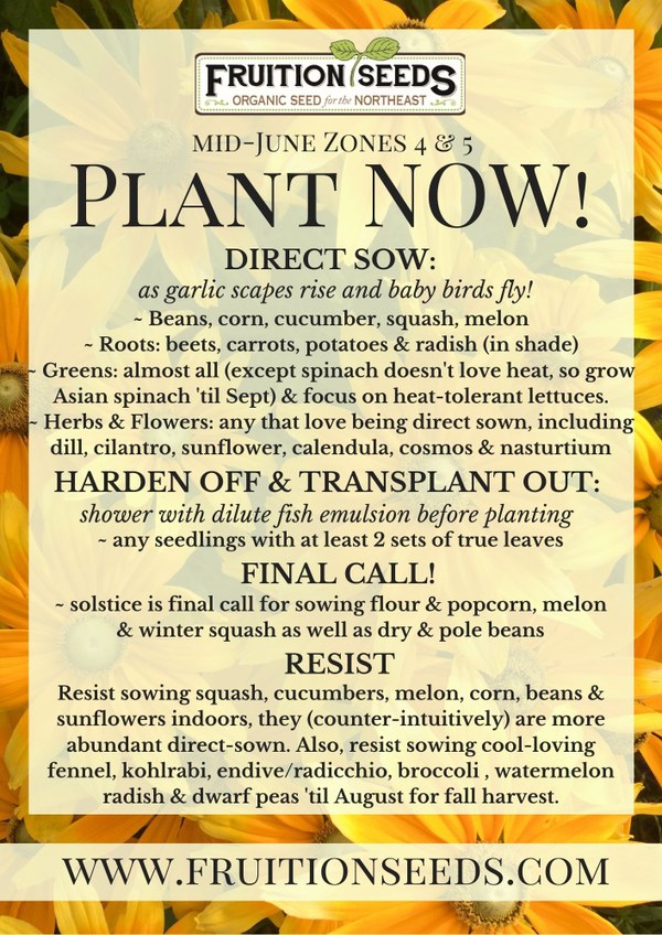 Plant these seeds now for early June