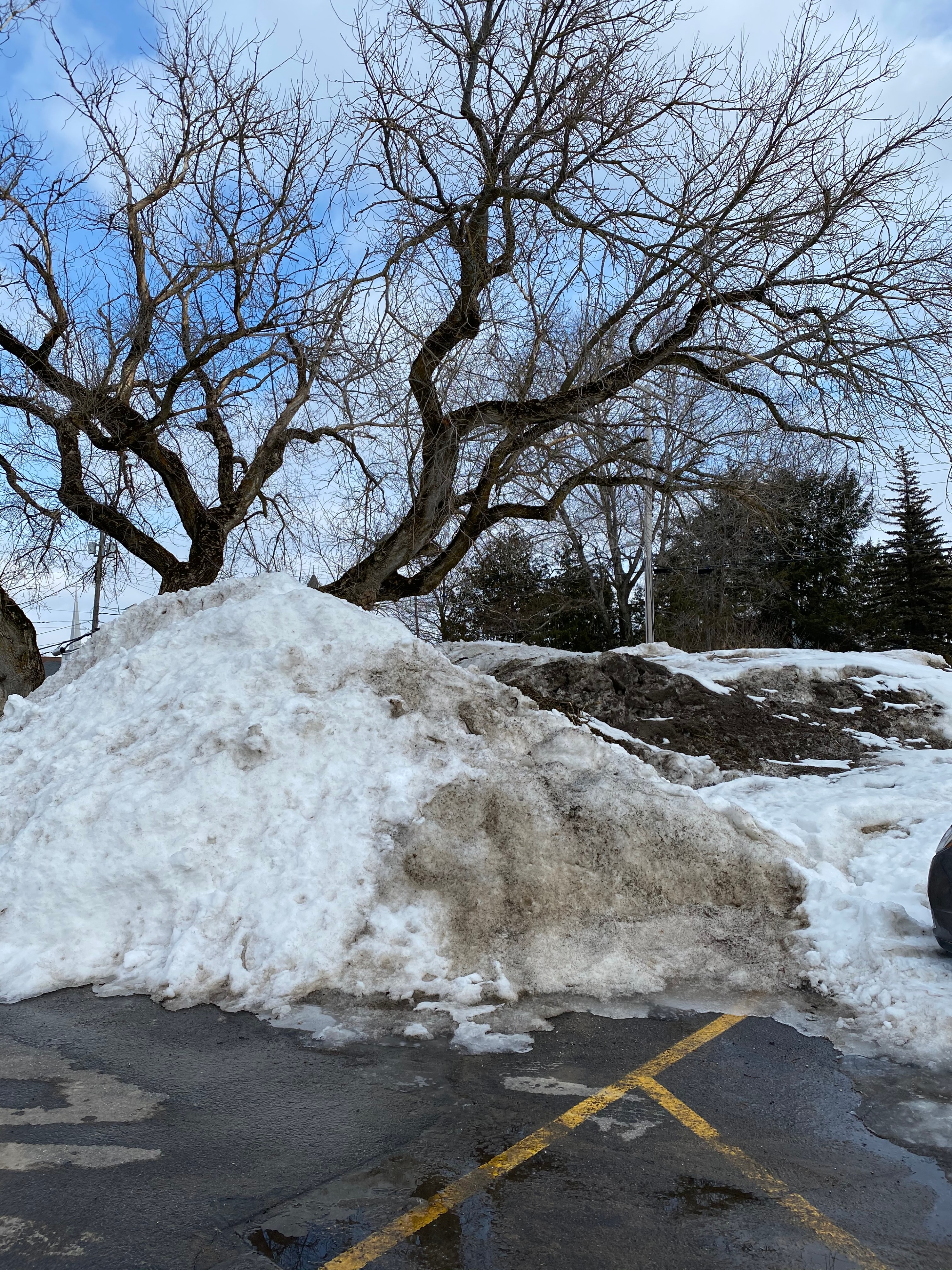 snow pile 2020