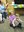story hour seuss 5.JPG