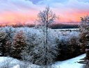 Winter photo winner